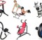 home fitness training equipment