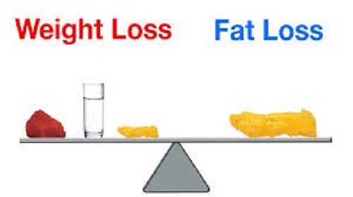 wegiht loss vs fat loss